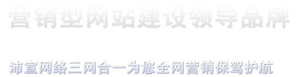 营销型网站建设领导品牌