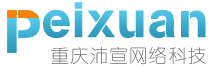 营销型网站建设领导品牌/重庆沛宣网络科技有限公司