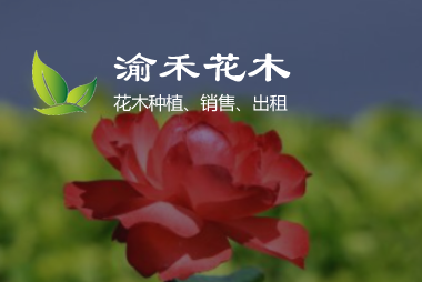 渝禾花木