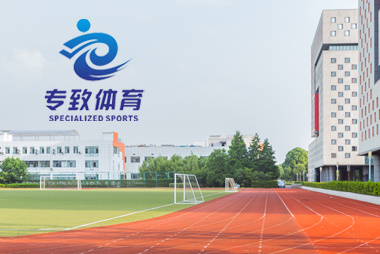 专致体育